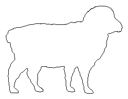 Sheep Pattern