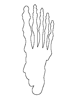 Skeleton Foot Pattern