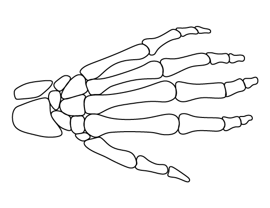 Skeleton Hand Template
