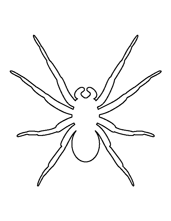 Template Spider