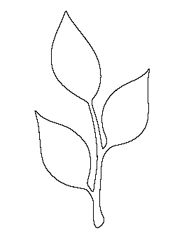 Stem and Leaf Pattern