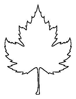 Sycamore Leaf Pattern