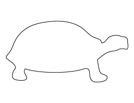 Tortoise Pattern