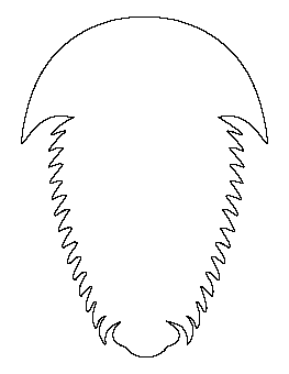 Trilobite Pattern