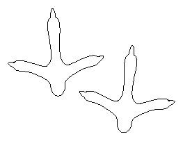 Turkey Feet Pattern