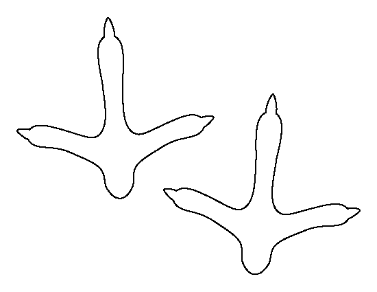 Feet Outline Template