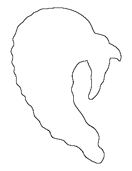 Turkey Head Pattern
