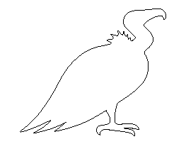 Vulture Pattern