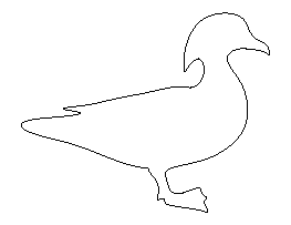 Wood Duck Pattern