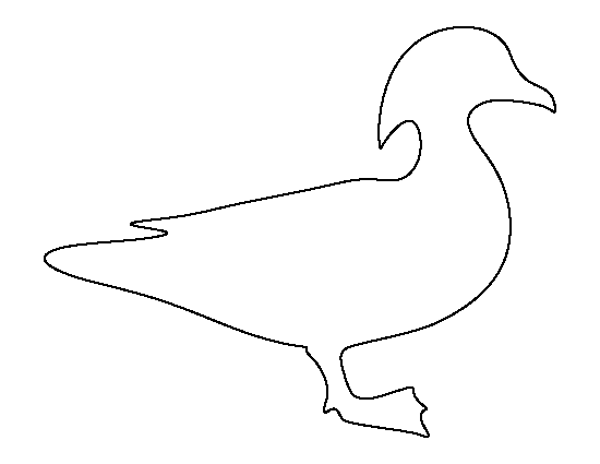 Wood Duck Template