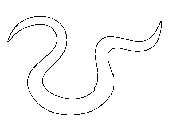 Worm Template